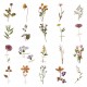 40 stuk tawny bloem Transparant stickers voor kinderen en volwassenen Beloningsstickers Journal Laptop Telefoon Stickers